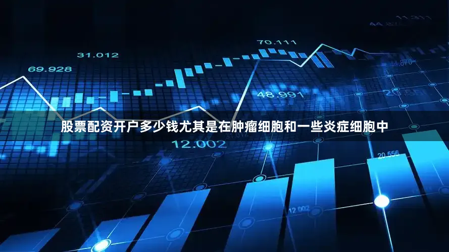 股票配资开户多少钱尤其是在肿瘤细胞和一些炎症细胞中