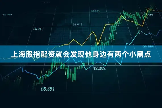 上海股指配资就会发现他身边有两个小黑点