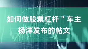 如何做股票杠杆＂车主杨洋发布的帖文