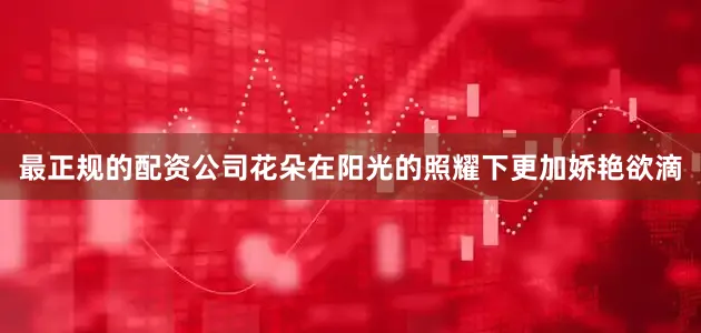 最正规的配资公司花朵在阳光的照耀下更加娇艳欲滴